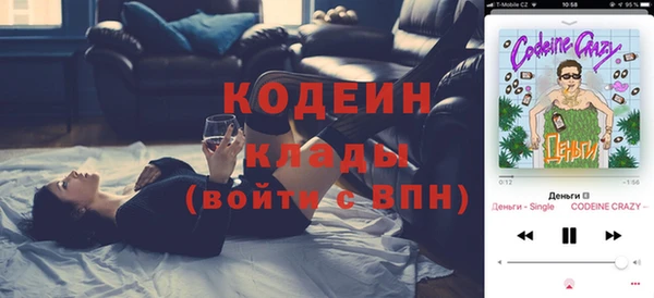 сатива Бикин