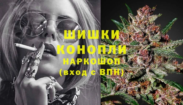 дживик Новокубанск