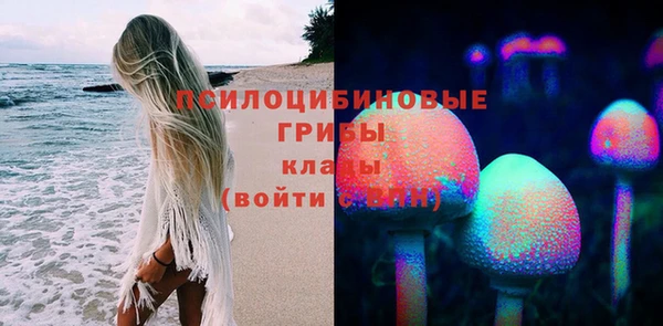 соль ск Заводоуковск
