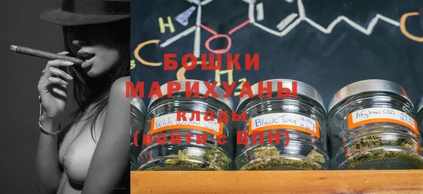 сатива Бикин