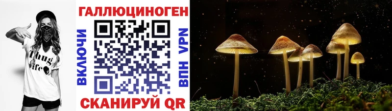 Галлюциногенные грибы прущие грибы  Сарапул 