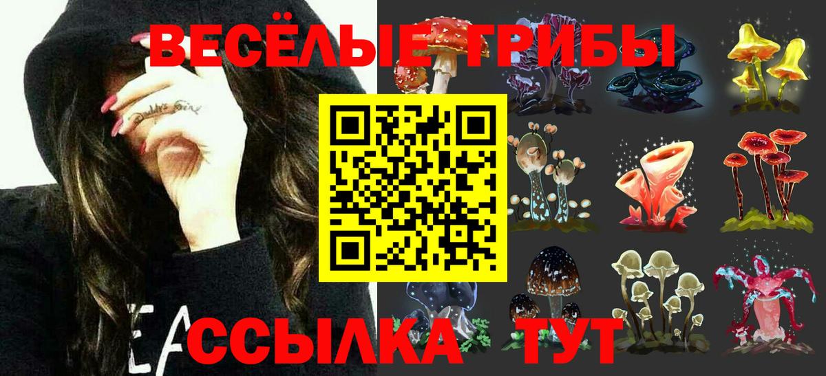 Сарапул  Псилоцибиновые грибы мухоморы  Вход с VPN 
